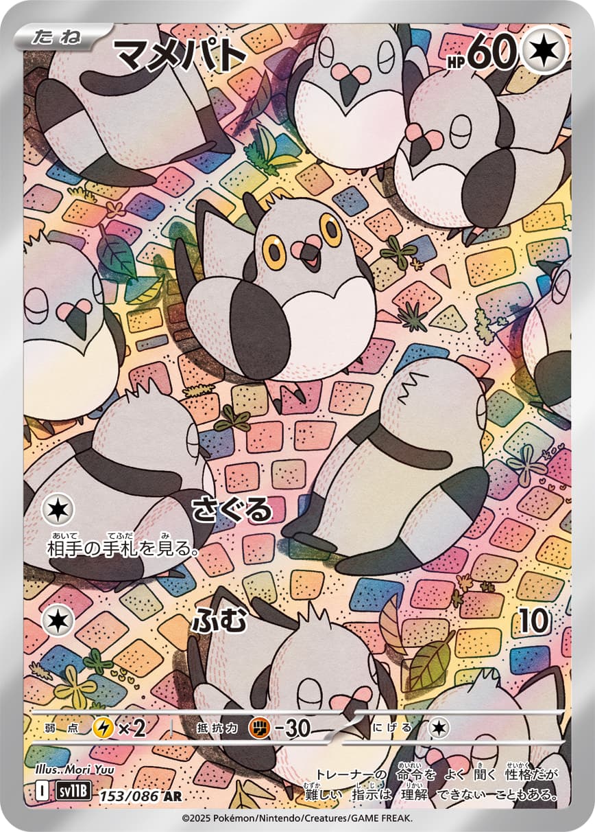 マメパト