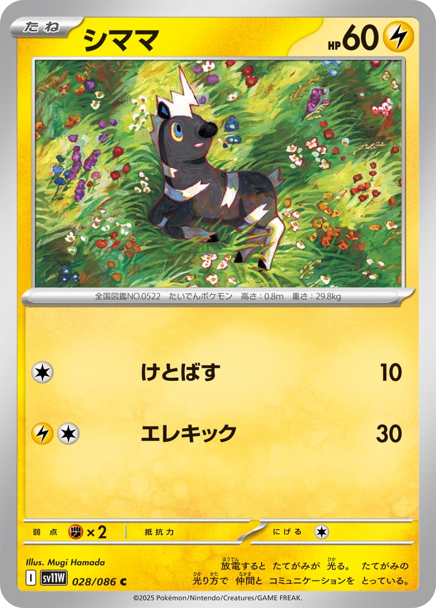 シママ