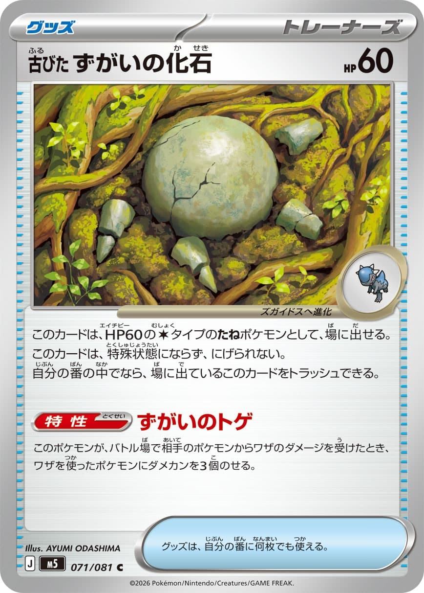 古びたずがいの化石