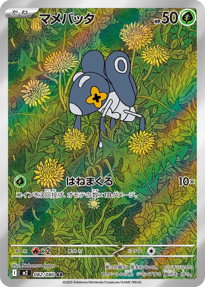 マメバッタ