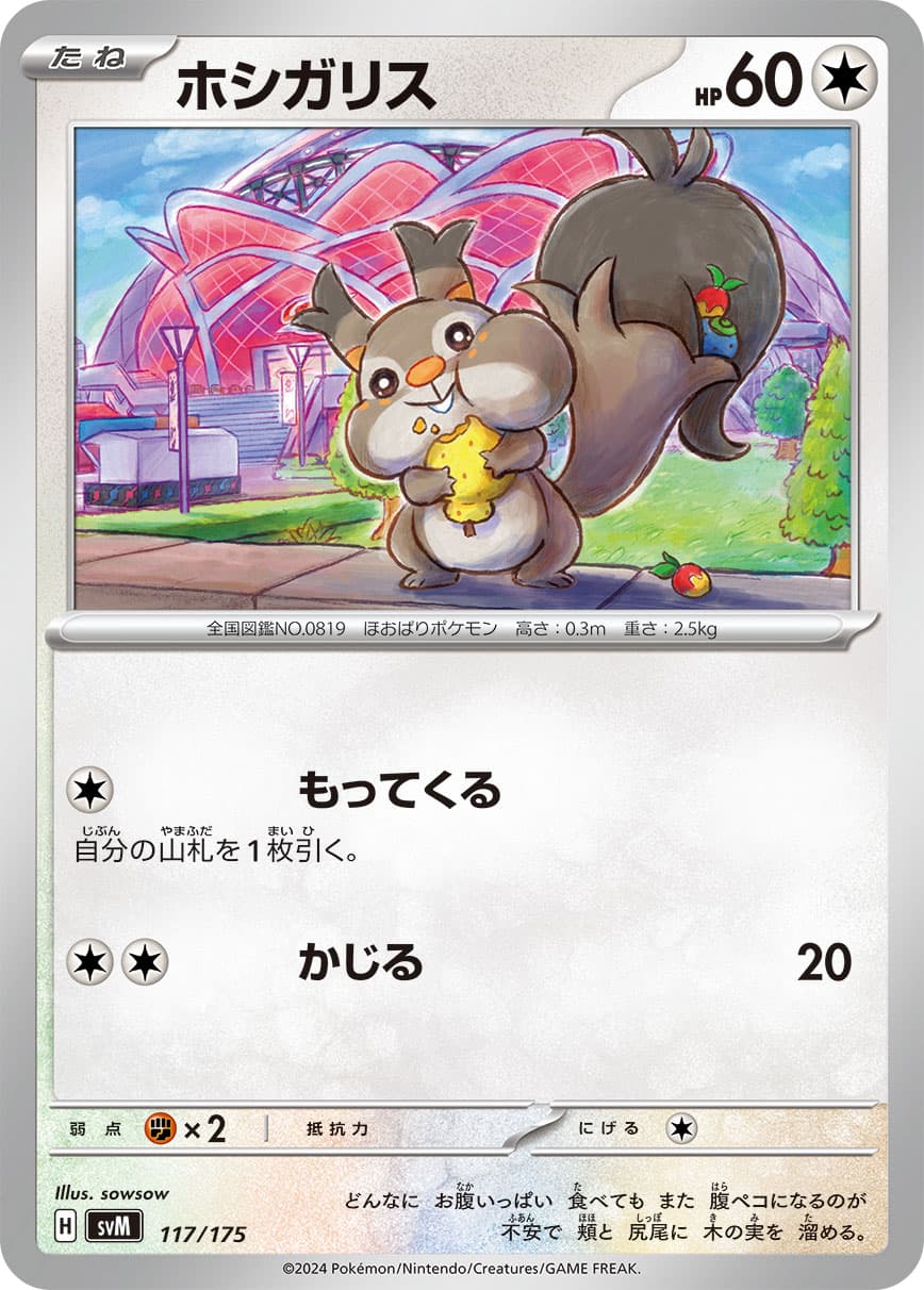 ホシガリス