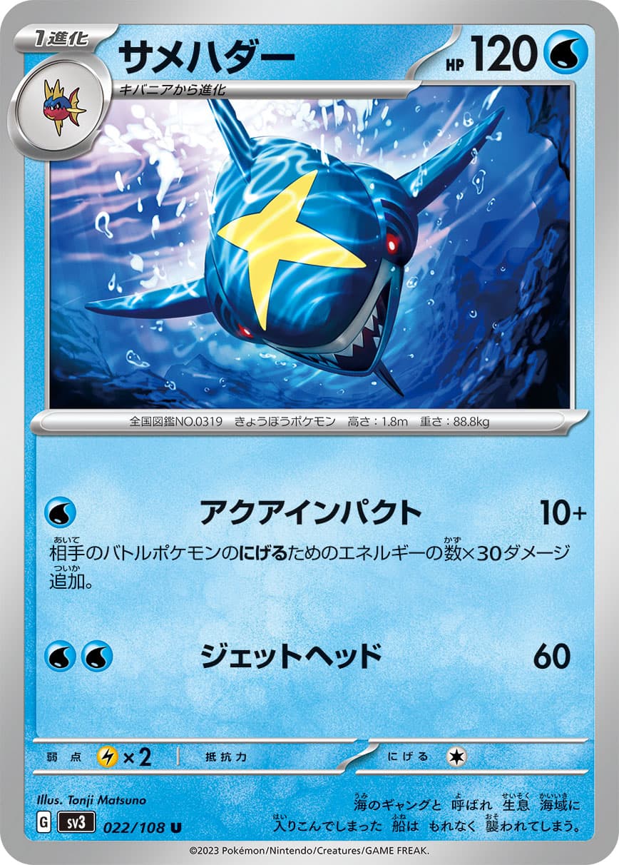サメハダー
