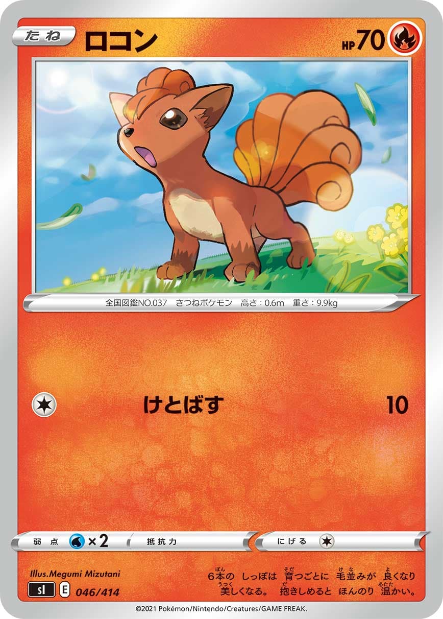 ロコン