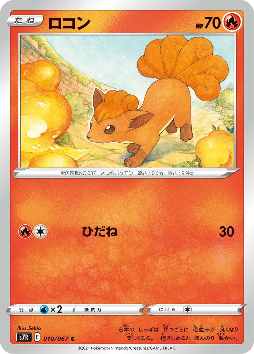 ロコン