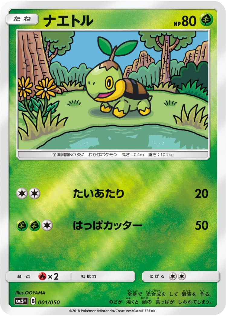 ナエトル