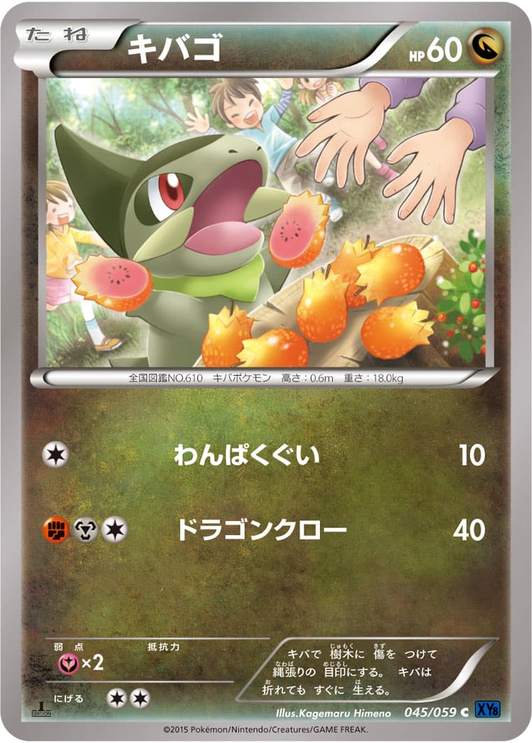 キバゴ