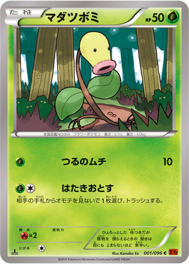マダツボミ