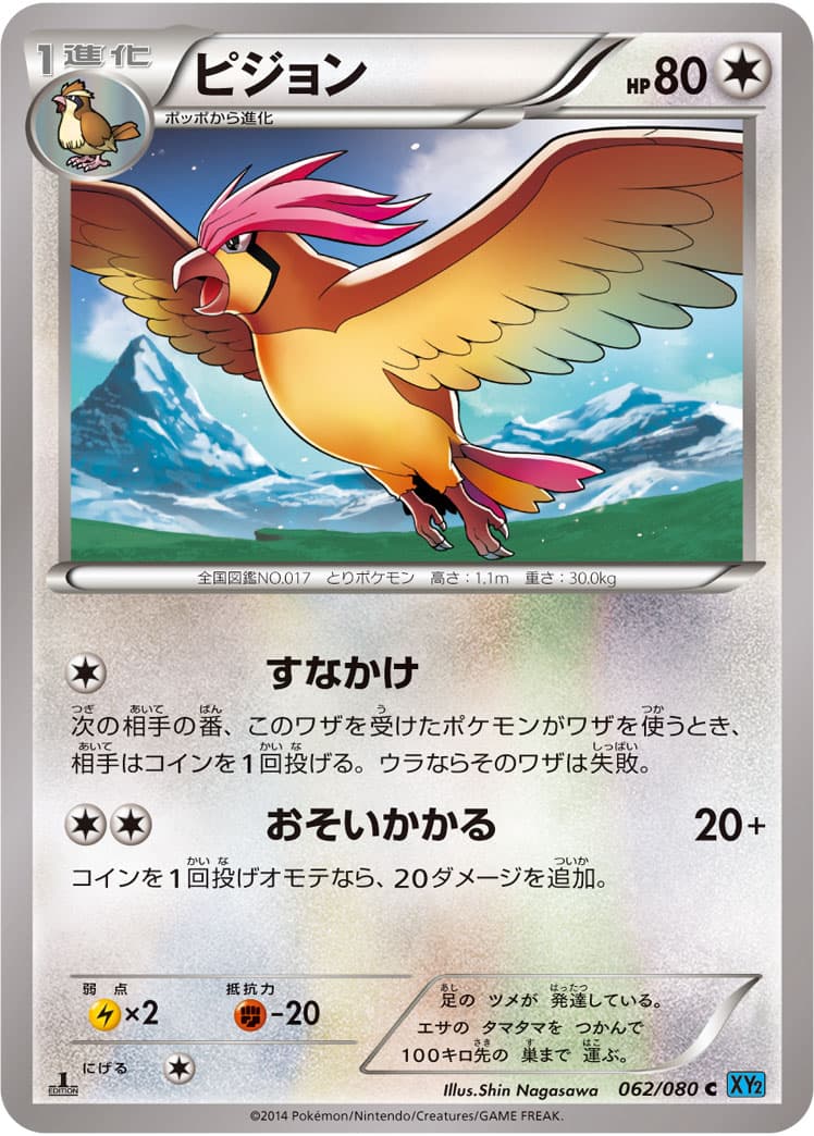 ピジョン