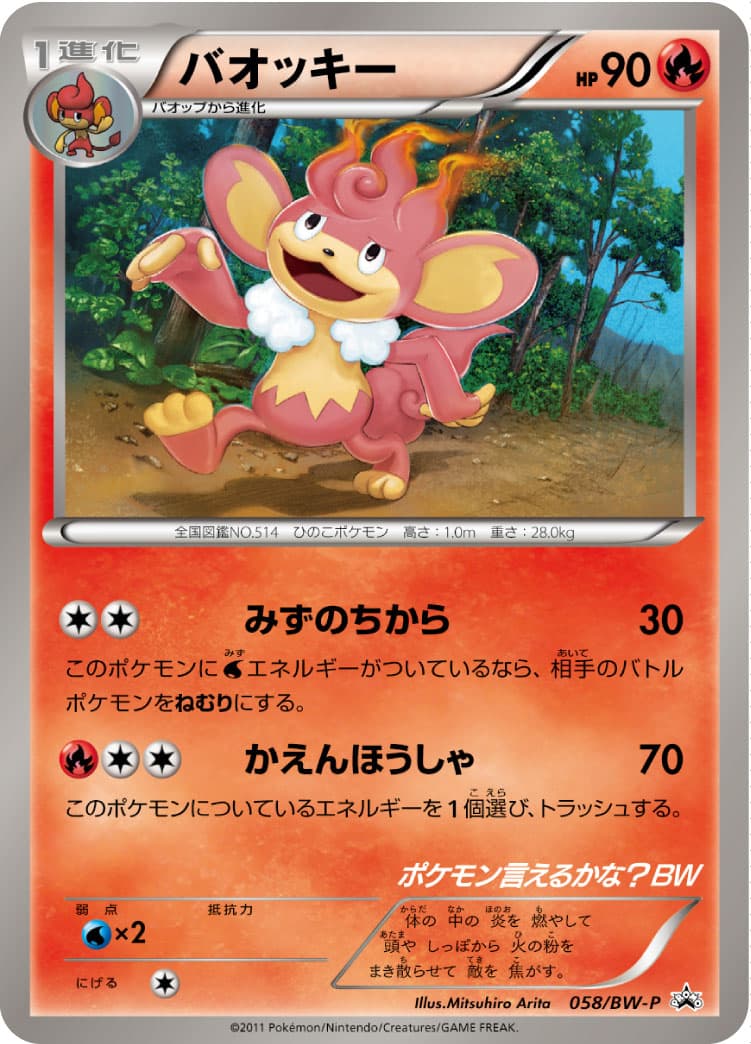 バオッキー