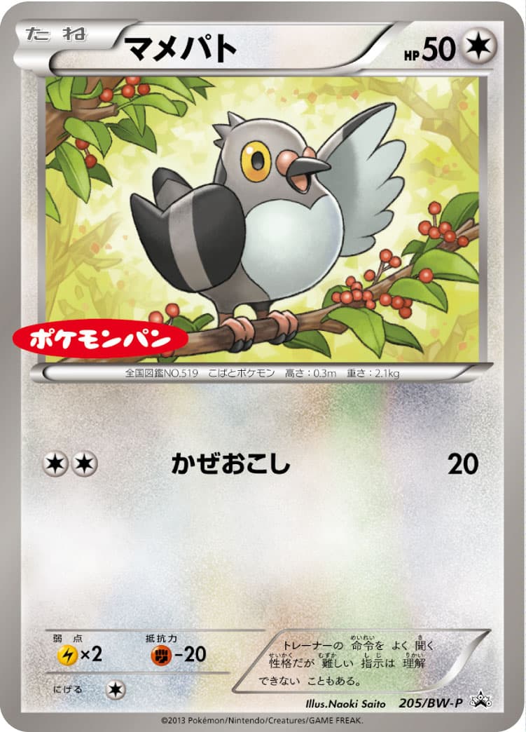 マメパト