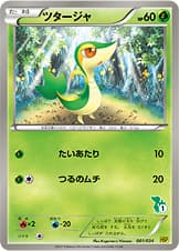 ツタージャ