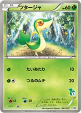 ツタージャ
