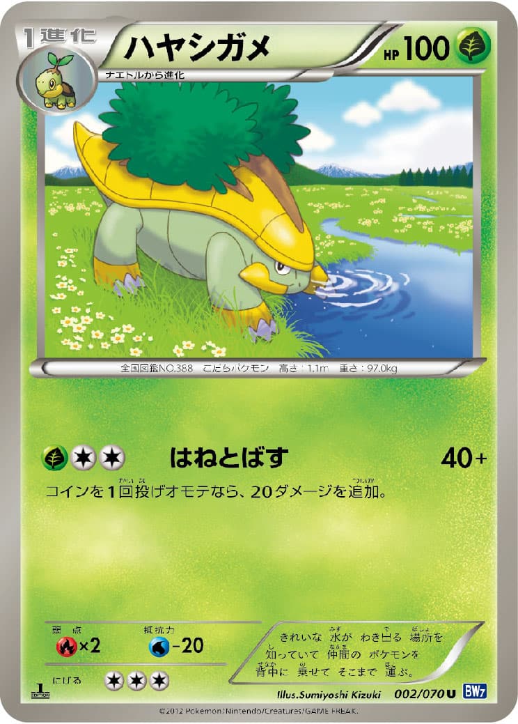 ハヤシガメ