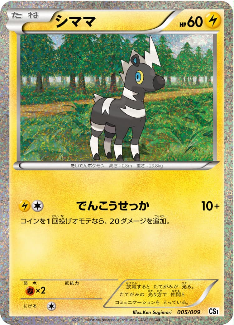 シママ