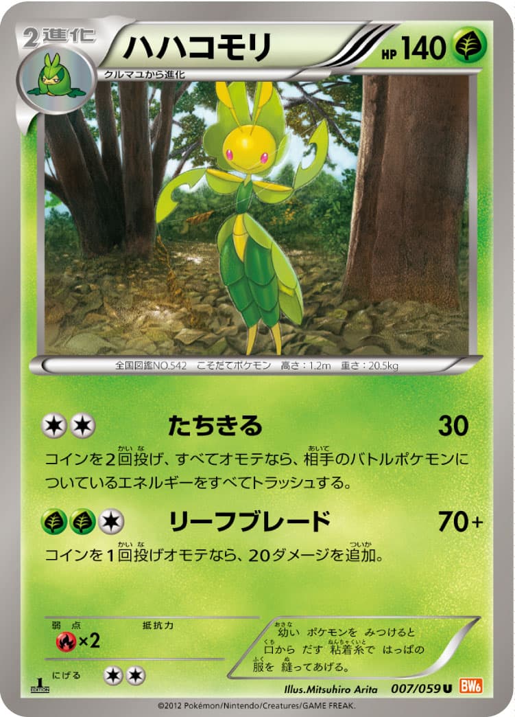 ハハコモリ