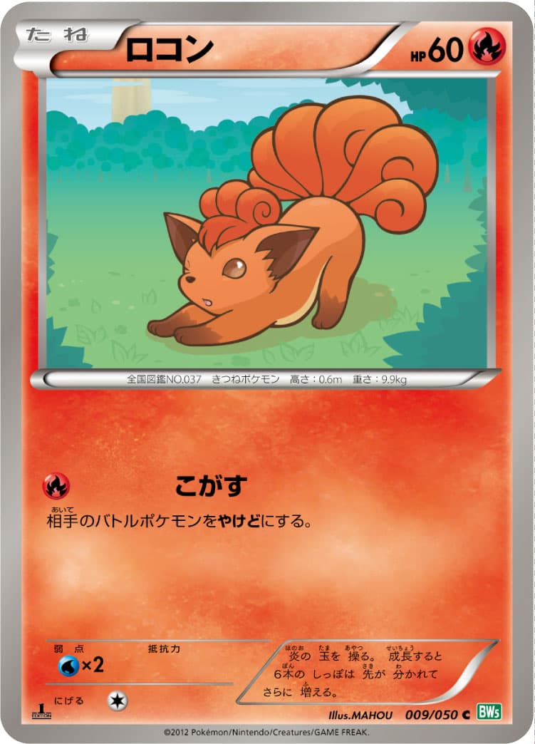 ロコン