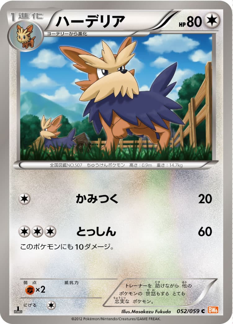 ハーデリア