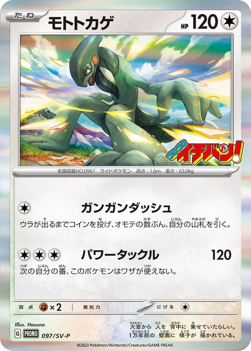 モトトカゲ
