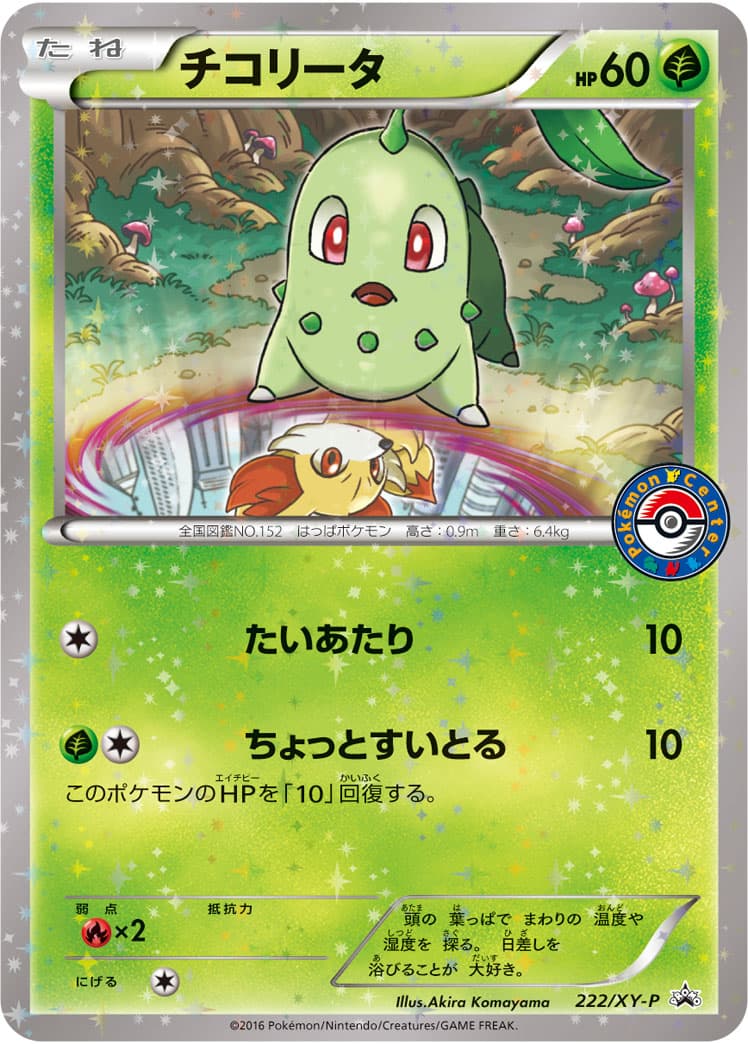 チコリータ